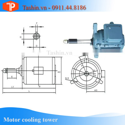 Motor Tháp Giải Nhiệt 0.75HP – 0.55KW cho Tháp 25RT – 30RT